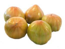 Tomate valenciano tipo Perelló